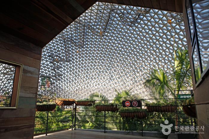 유리온실 안에 식물들이 있다