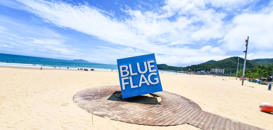 완도 신지명사십리해수욕장｜사람 적고 물 맑은 전남 청정여름 바다여행