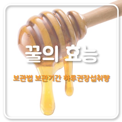 꿀의 효능
