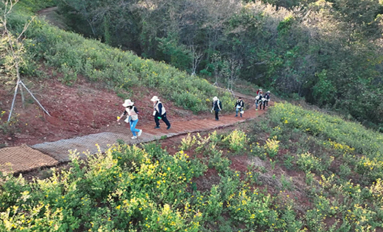 문경 돌리네습지