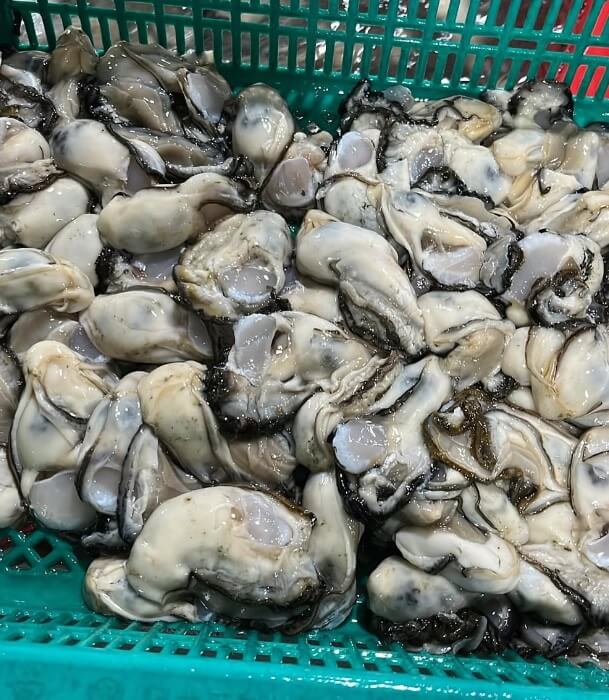 6시내고향 경남 통영의 수산물 전문점 통영자성수산 비단가리비 주문방법 