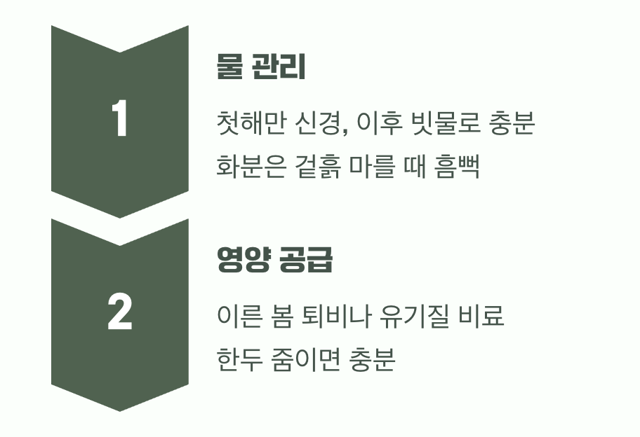 3. 폭풍 성장의 비밀 (물과 양분)