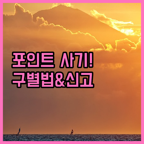 출처 불분명한 포인트 안내 문자 구별..