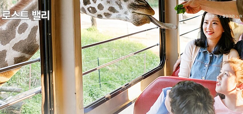 에버랜드 큐패스(Q-PASS) - 로스트 밸리