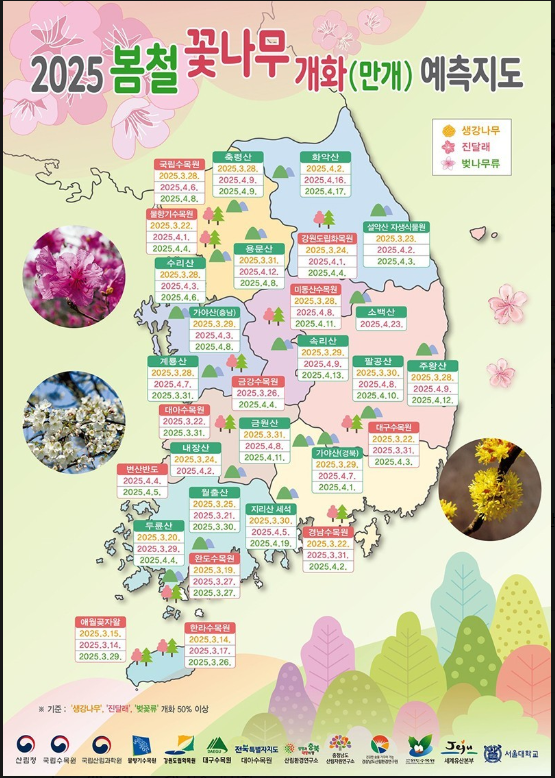 2025 봄꽃 개화 시기