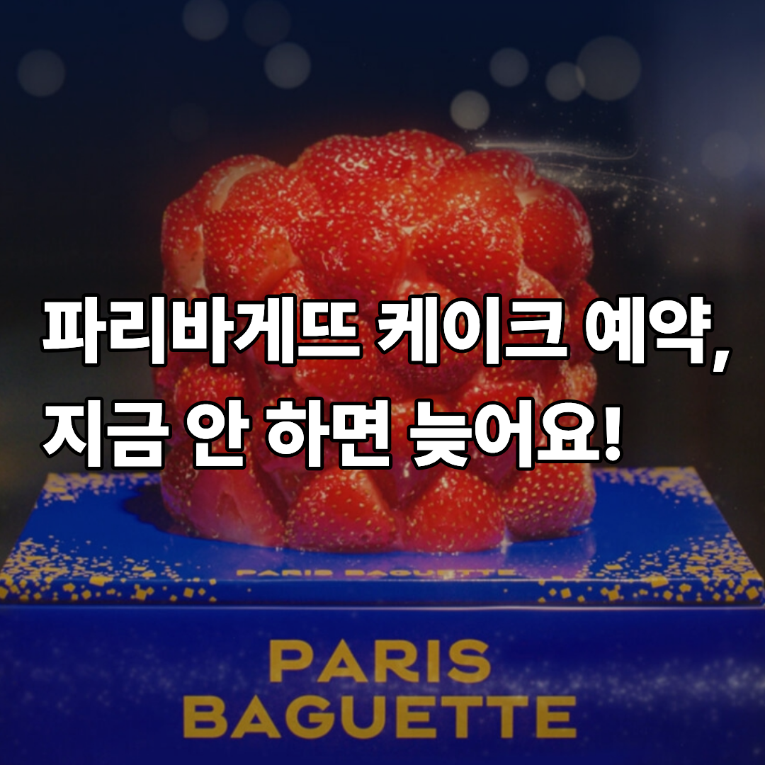 파리바게뜨 크리스마스 케이크 예약 총정리 가격 종류 할인 꿀팁