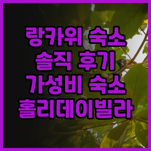 홀리데이 빌라 랑카위 리조트 솔직 후..