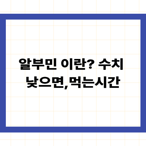 알부민 이란? 수치 낮으면,먹는시간