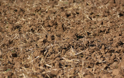 문정희 시 흙과 관련된 이미지