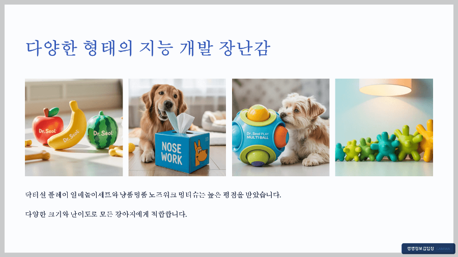 강아지 코딩 놀이 장난감