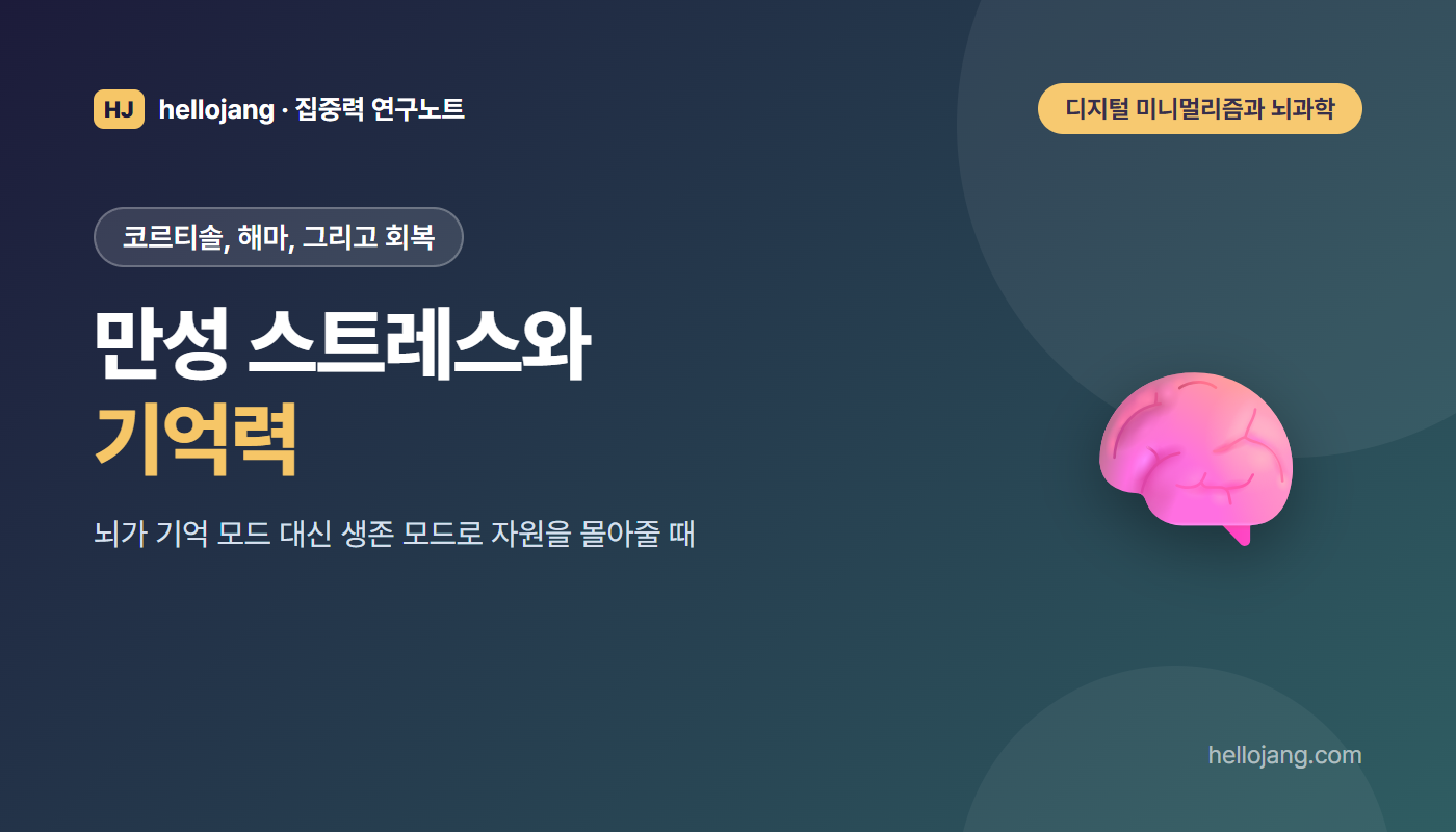 만성 스트레스가 코르티솔과 해마를 거쳐 기억력에 어떤 영향을 주는지, 그리고 회복을 돕는 요인을 정리한 글의 표지 그림