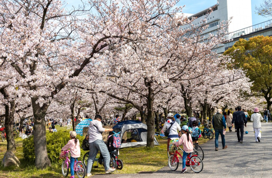 2024년 4월 주간별/지역별 날씨 전망