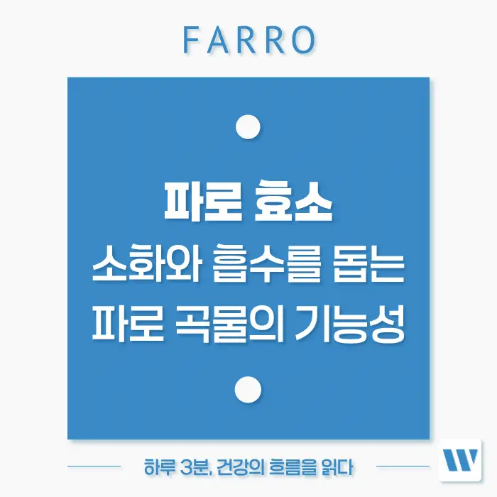 파로 효소 효능, 먹는 법