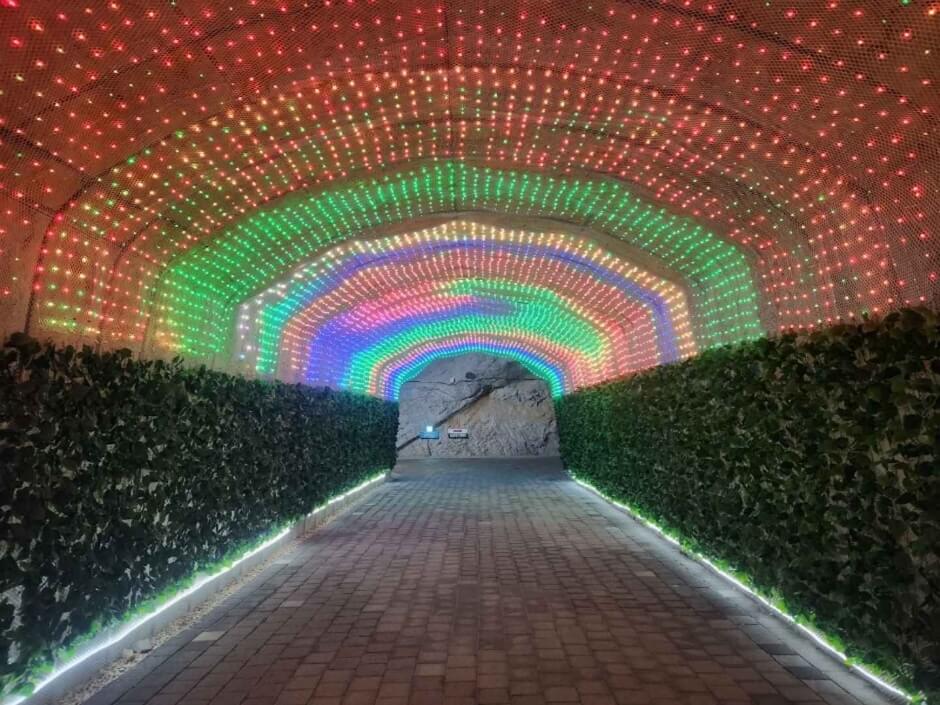 충주 가볼만한곳 베스트 10