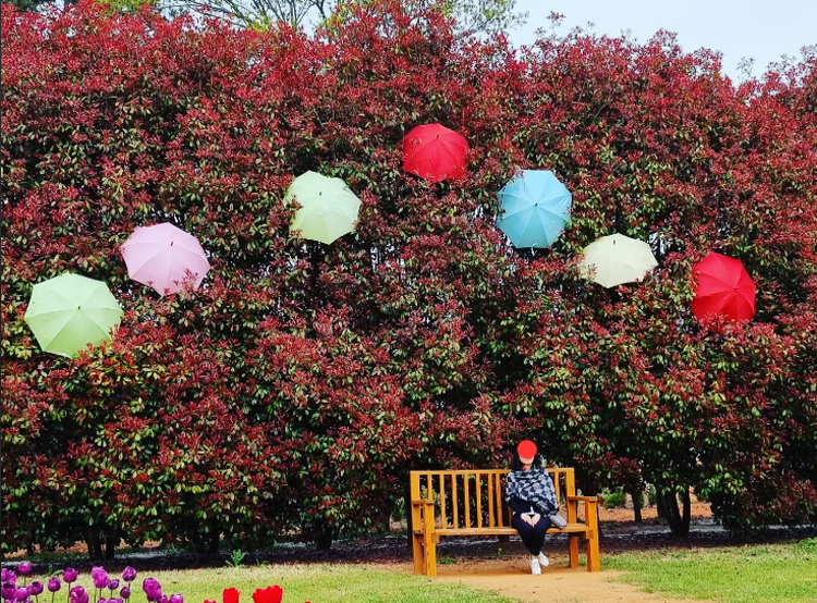 태안 청산수목원