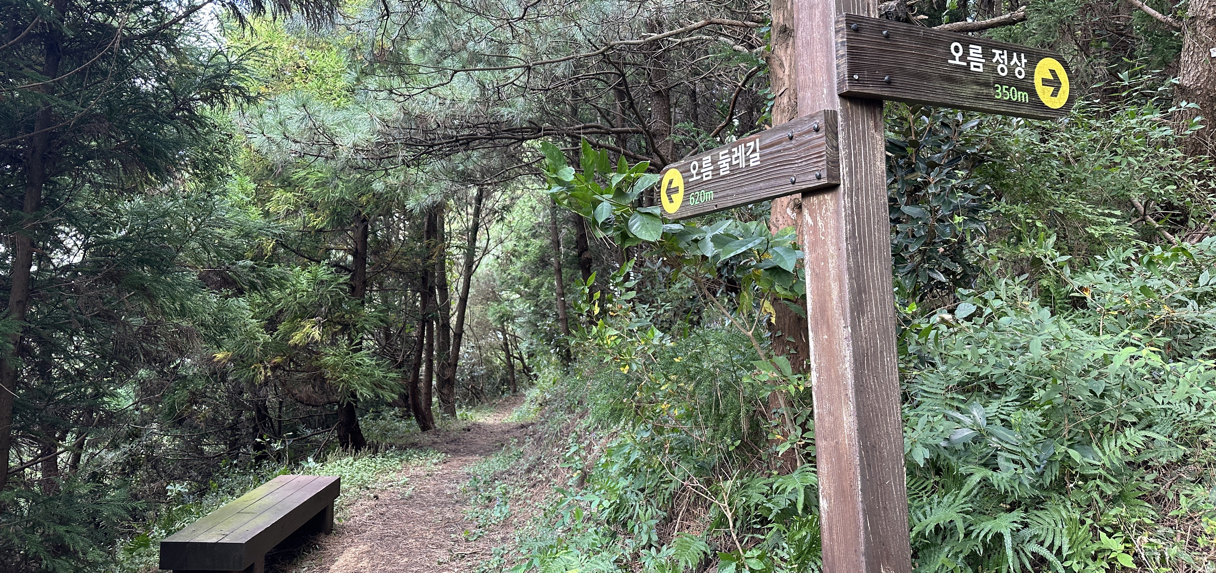 둔지오름 탐방로