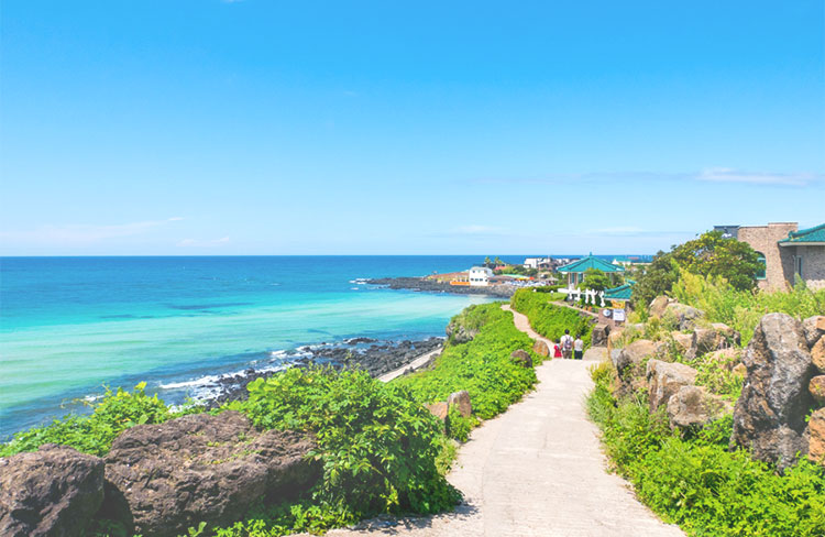 제주도 사진