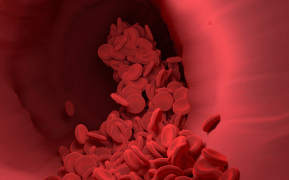 고지혈증에 좋은 영양제