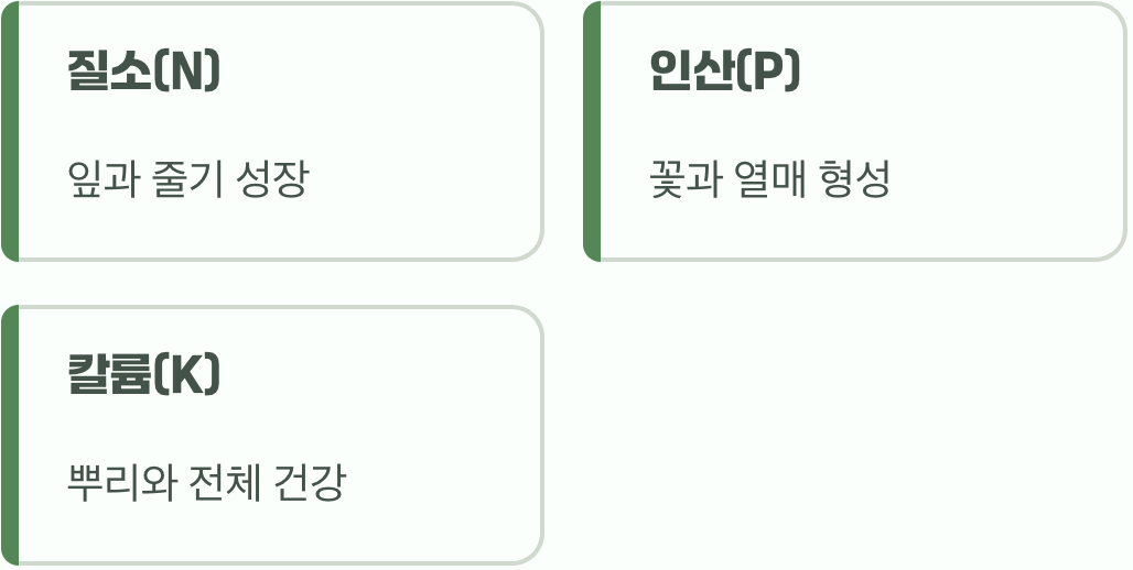 잎만 무성하다면, 질소 과잉을 의심하세요