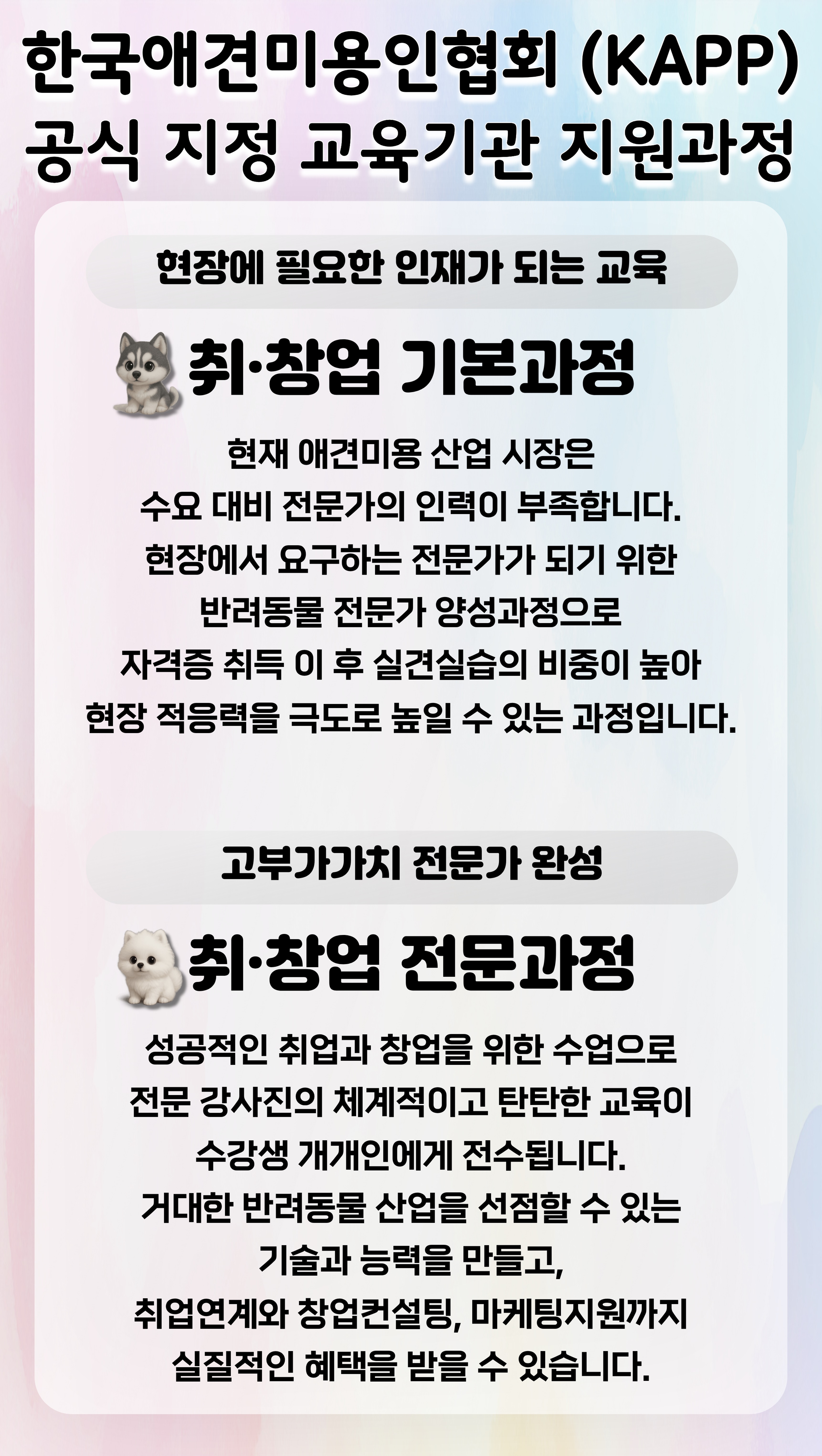 인천강아지미용학원
