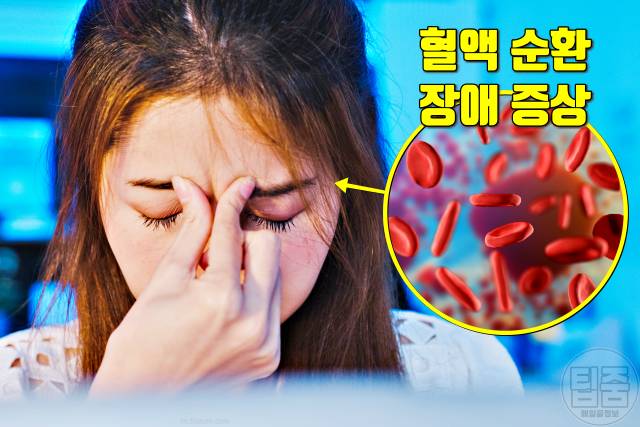혈액순환 잘되는 음식,천연 혈관확장제 추천
