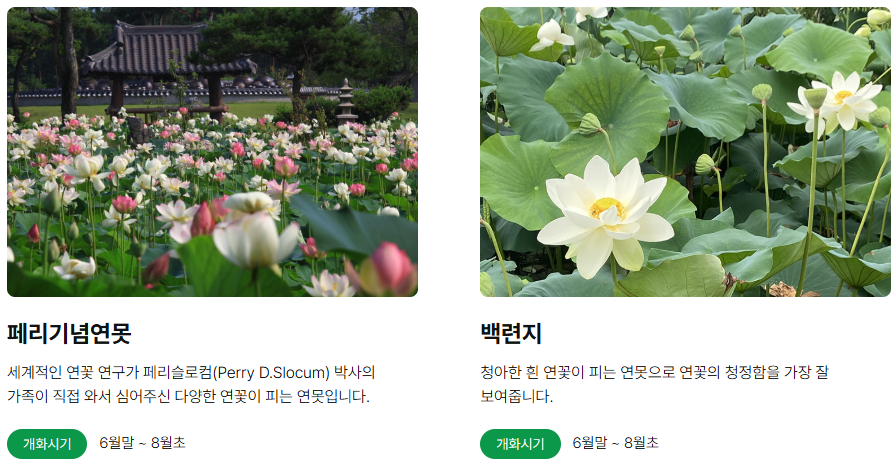 세미원 추천