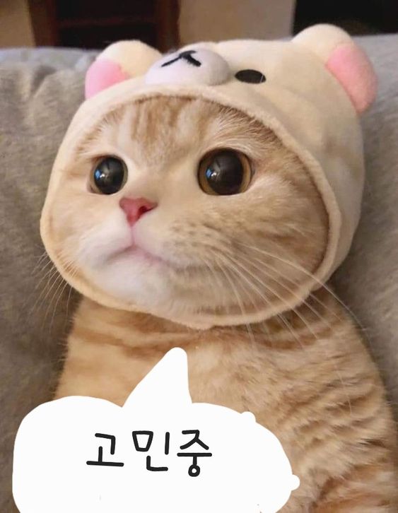 고민