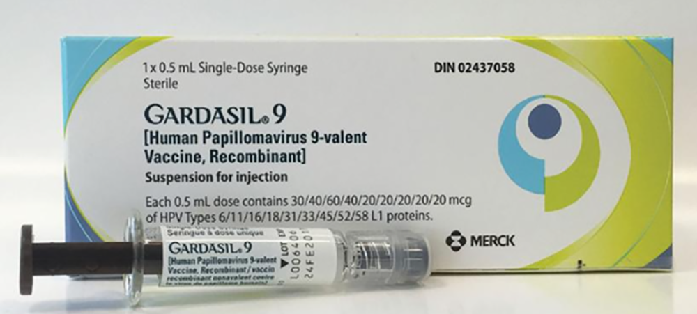 가다실 9가 가격