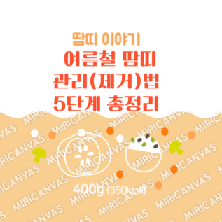 여름철 땀띠 관리법 5단계