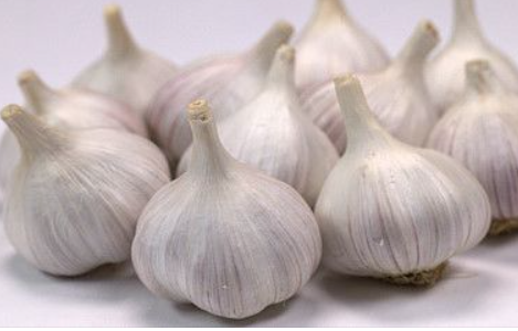 2024 제19회 남해 마늘&amp;한우축제 일정 장소 공연 체험 노래자랑