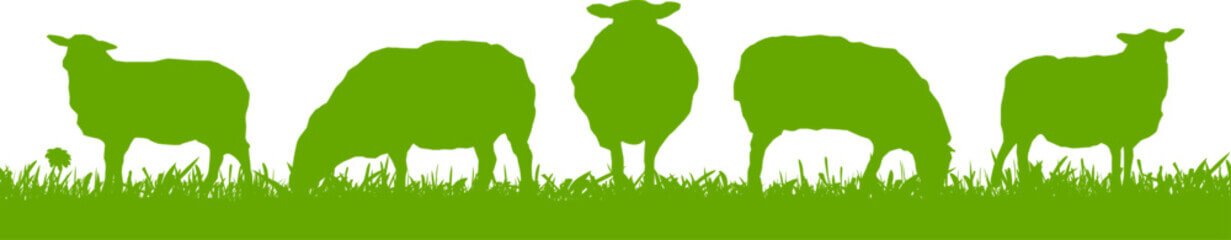 흑염소 진액 효능&#44; 하루권장량 및 부작용에 대해 알아봤습니다. 우리나라 흑염소가 세계적으로 매우 유명하다고 합니다. 검은 뿔을 가졌다고 해서 흑염소 인데 이는 생각보다 많은 효능이 있습니다.