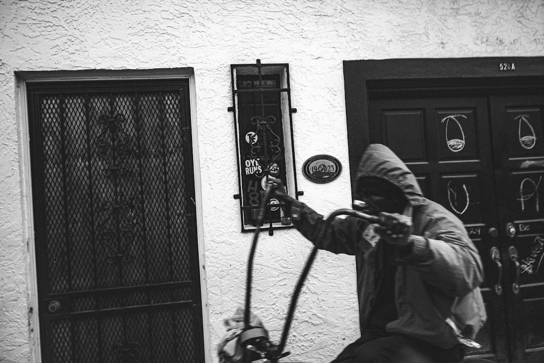 Thief