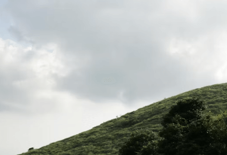 울릉도 &amp;독도 여행 : 배편부터 숙소&amp;#44; 놓칠 수 없는 명소까지!