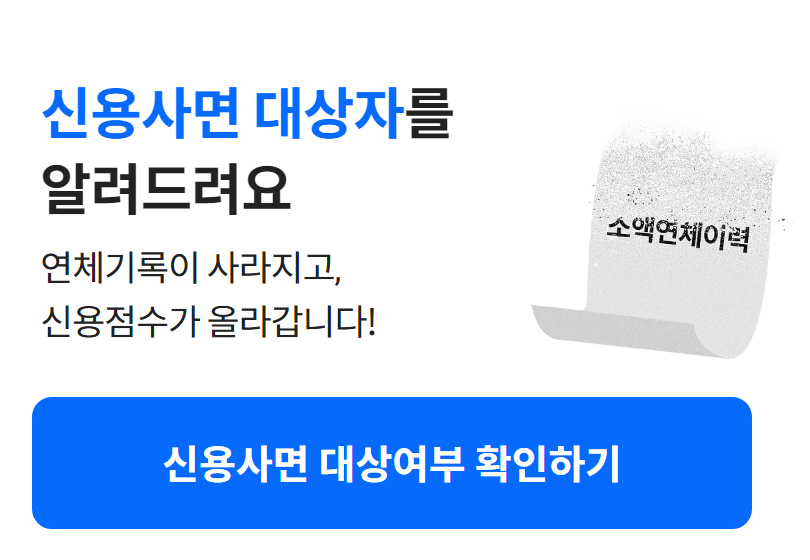 나이스지키미 신용사면