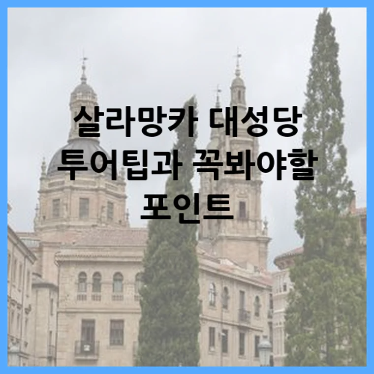 살라망카 대성당 투어팁과 꼭봐야할 포인트