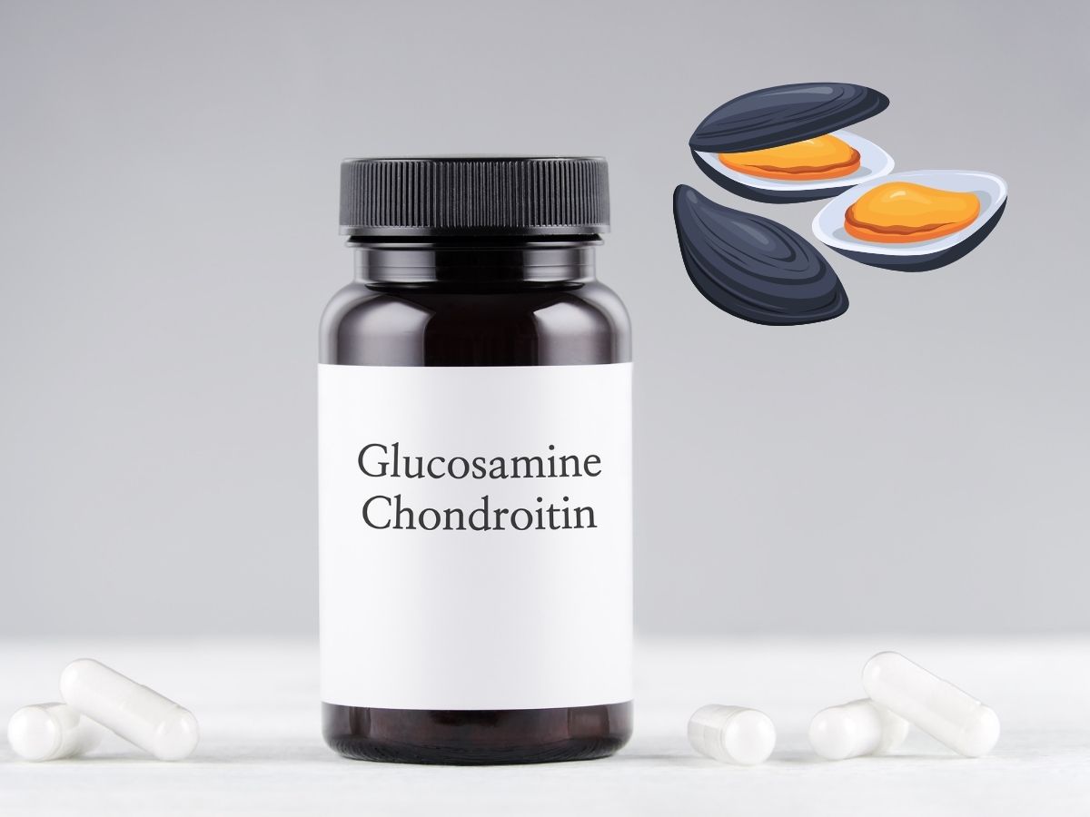 N-아세틸 글루코사민 이란