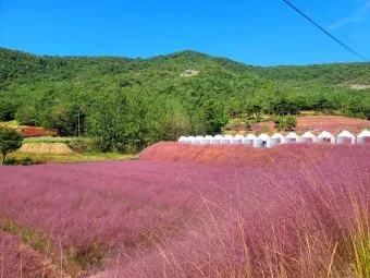 고창 가볼만한곳 베스트10 전북 여행지 추천_13