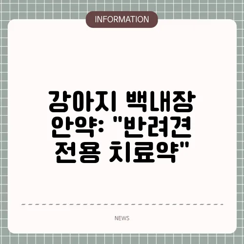 강아지 백내장 안약: 