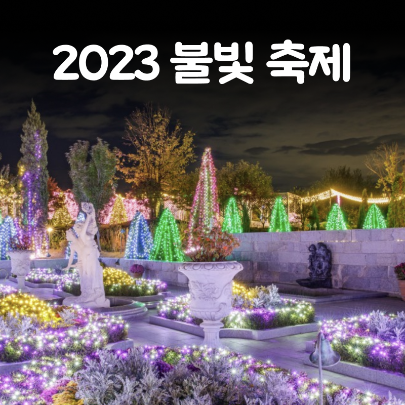 2023-불빛-축제