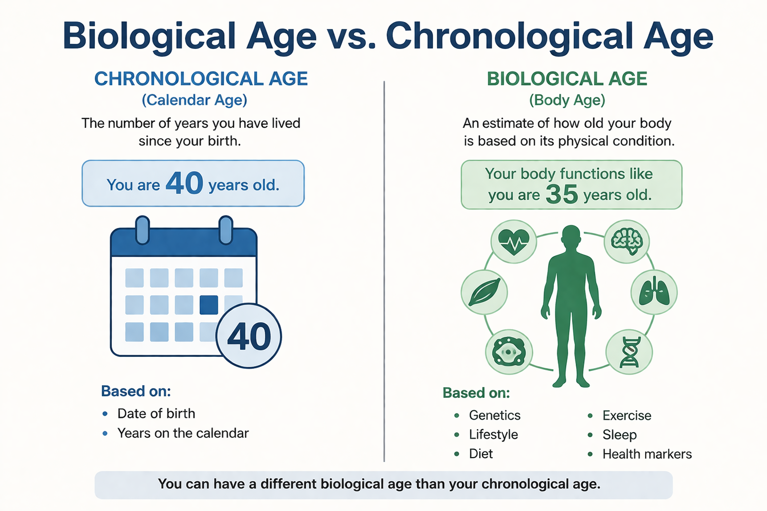 생물학적 나이와 달력 나이 차이