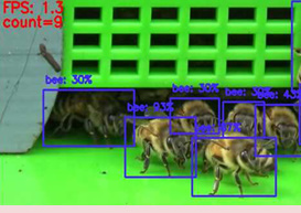 알트태그-스마트벌통을 이용하는 꿀벌