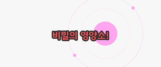 브로콜리 효능 무슨 내용인지 살펴보죠