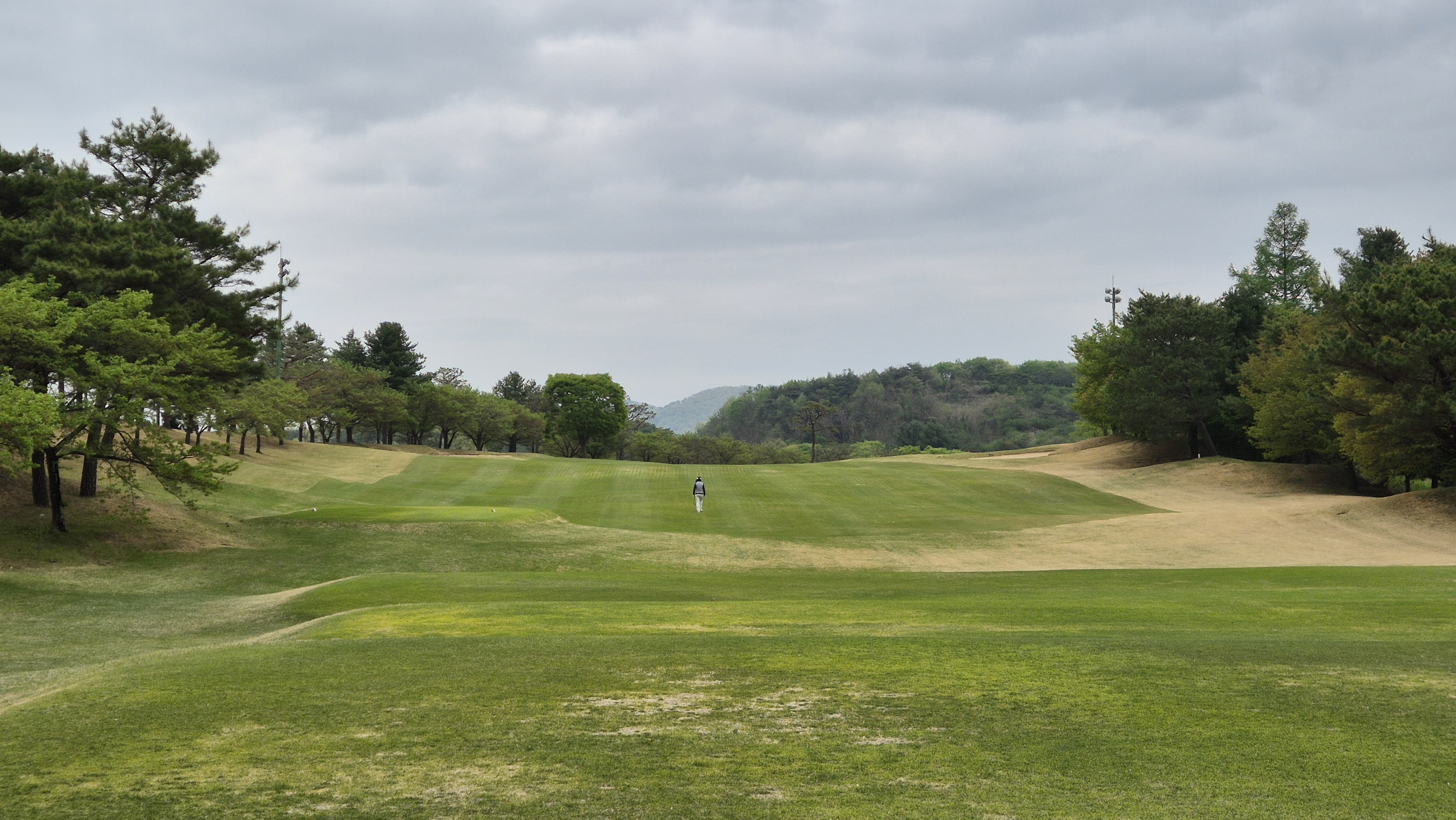 시그너스cc 코튼-라미 코스 사진 및 공략 정보