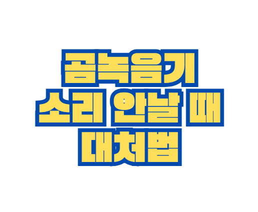 곰녹음기