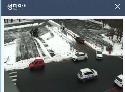 제주도 실시간 도로 상황 CCTV로 알아보기