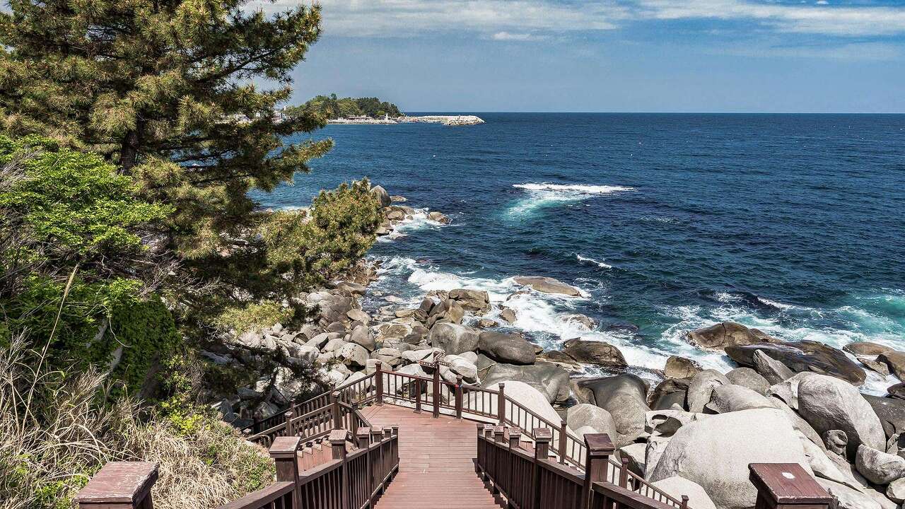 죽도 풍경
