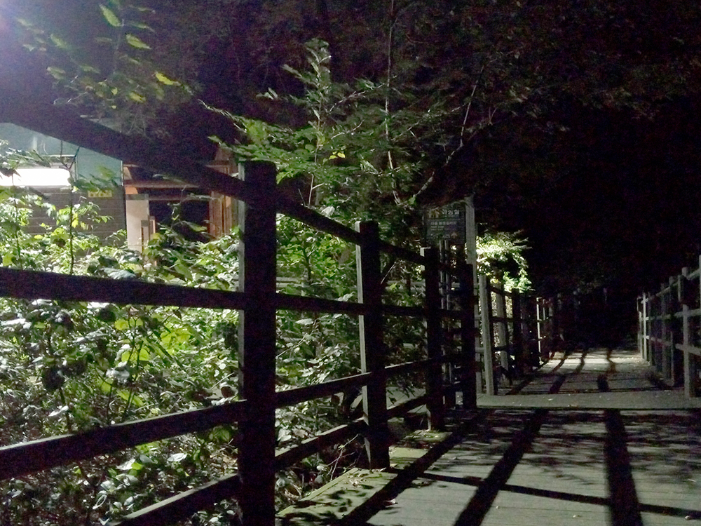 EWP 에너지 걷기 기부챌린지는 여수 마니원 요양원