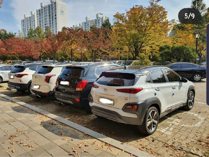 차박을 위한 최적의 자동차 모델 비교