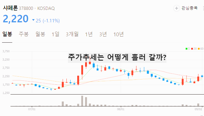 위고비 관련주 대장주 TOP10