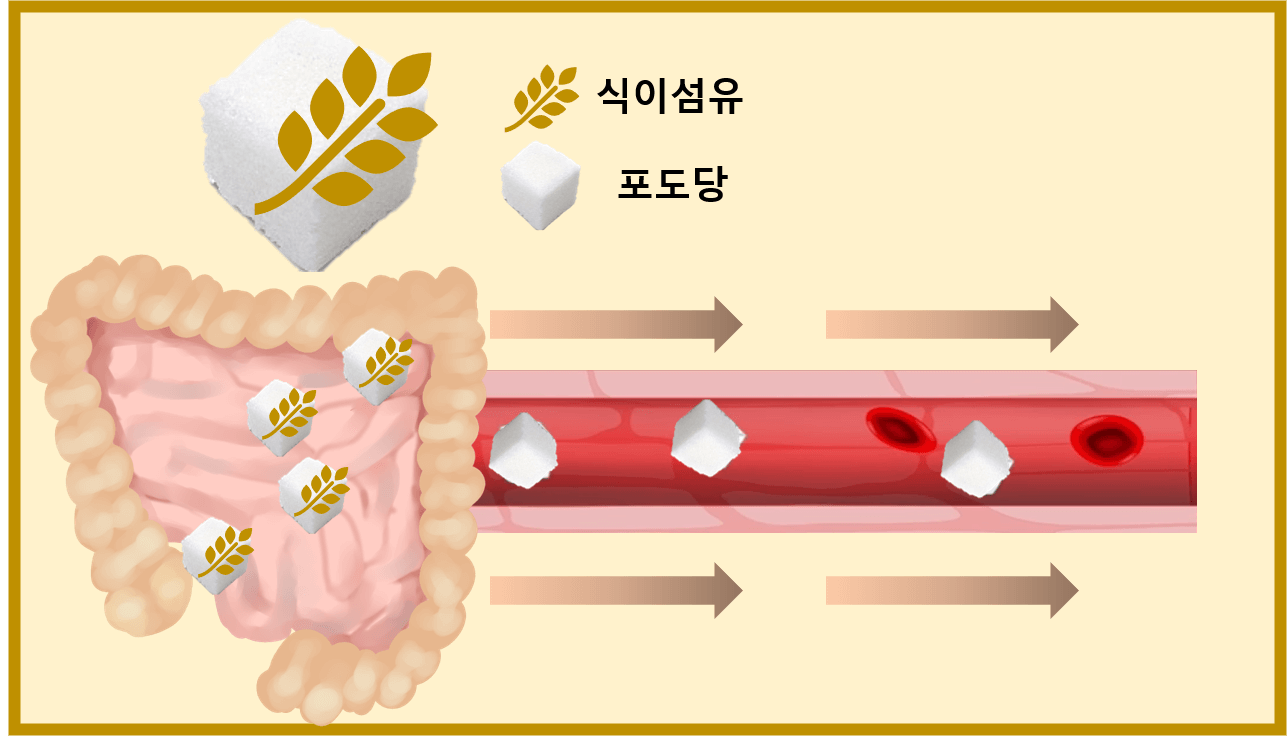 인슐린
